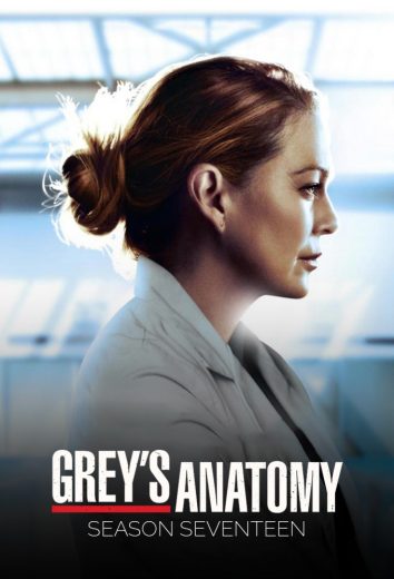 مسلسل Grey’s Anatomy موسم 17