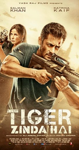 مشاهدة فيلم Tiger Zinda Hai 2017 مترجم