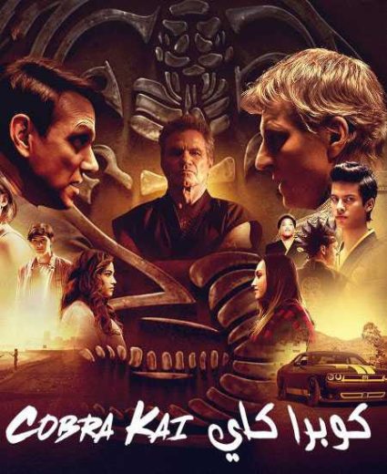 مسلسل Cobra Kai الموسم الثاني مترجم كامل