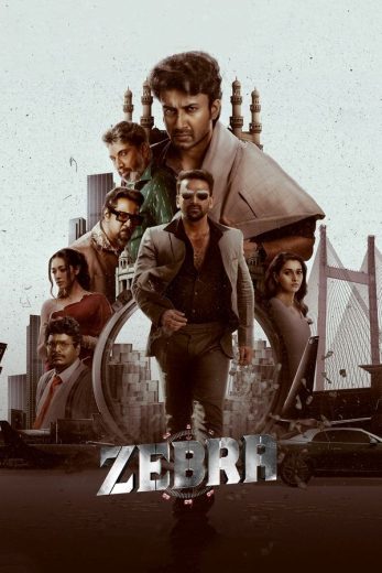 مشاهدة فيلم Zebra 2024 مترجم